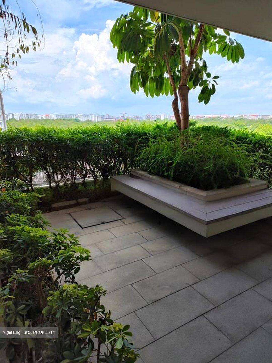 d'Nest (D18), Condominium #476501031